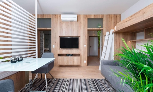 Heller Wohnraum mit integrierter TV-Wand in Holzoptik. Raumteiler mit weißen Lamellen sorgt für Struktur. Graue Sitzmöbel, Leiter zum Hochbett und viele Pflanzen schaffen ein modernes, gemütliches Ambiente.